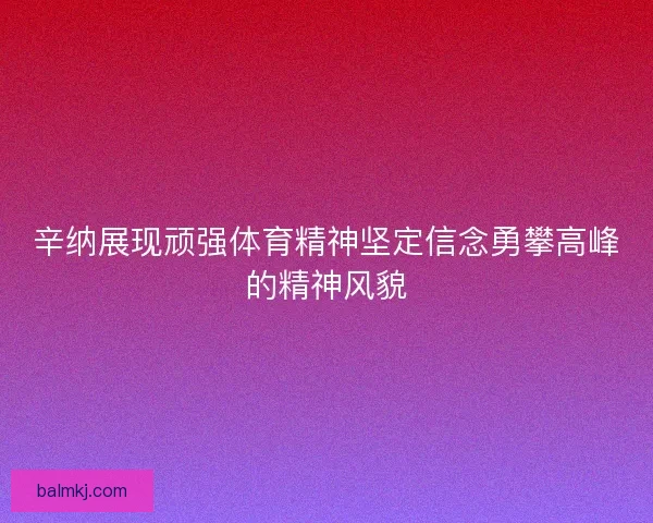 辛纳展现顽强体育精神坚定信念勇攀高峰的精神风貌