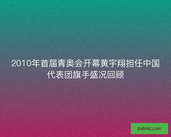 2010年首届青奥会开幕黄宇翔担任中国代表团旗手盛况回顾