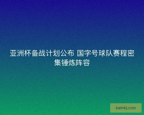 亚洲杯备战计划公布 国字号球队赛程密集锤炼阵容